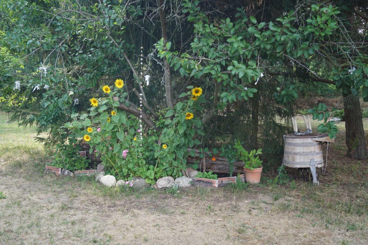 Ferienwohnung Rehagen Sued Am Mellensee Kültér fotó