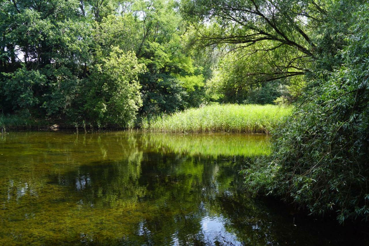 Ferienwohnung Rehagen Sued Am Mellensee Kültér fotó